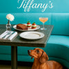 Best Dachshund Wall Art and Metal Prints for Every Wiener Dog Lover’s Home