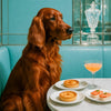 Best Irish Setter Wall Art and Prints for Every Setter Lover's Home