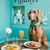 Best Weimaraner Wall Art and Metal Prints for Every Weimaraner Lover's Home
