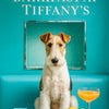 Best Wire Fox Terrier Wall Art and Metal Prints for Every Wire Fox Terrier Lover's Home