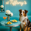 Best Australian Shepherd Wall Art and Metal Prints for Every Aussie Lover's Home