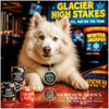 Glacier High Stakes American Eskimo dog casino scene Metal Print