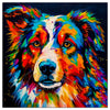 Colorful Australian Shepherd portrait in modern art style, perfect for home decor.