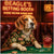 Beagle's Betting Booth Dog Playing Poker at Elegant Casino Bar