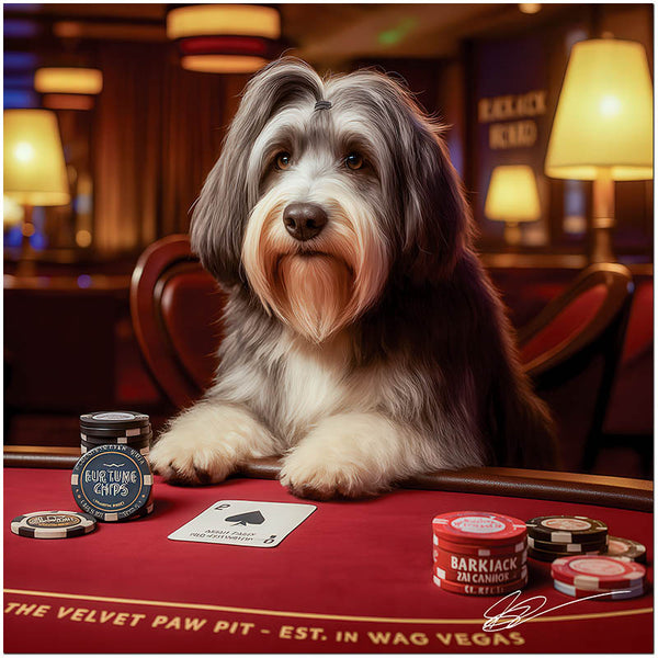 Blackjack Beard Bearded Collie Dog at Poker Table in Casino Scene