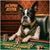 Boston Terrier artwork titled Jackpot Jester on ChromaLuxe Metal, featuring casino-themed décor.