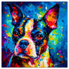 Colorful Boston Terrier portrait in modern art style, perfect for home decor.