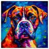 Colorful Boxer portrait in modern art style, perfect for home decor.