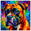 Colorful Boxer portrait in modern art style, perfect for home decor.