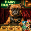 Brussels Griffon dog at poker table with winning cards and casino chips