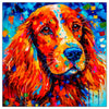 Cocker Spaniel 08
