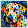 Colorful Dalmatian portrait in modern art style, perfect for home decor.