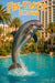 Dolphin jumping from a tropical resort pool metal wall art print