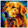 Colorful Golden Retriever portrait in modern art style, perfect for home decor.