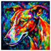 Colorful Greyhound portrait in modern art style, perfect for home decor.