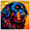 Colorful Newfoundland portrait in modern art style, perfect for home decor.