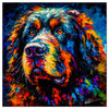Colorful Newfoundland portrait in modern art style, perfect for home decor.