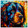 Colorful Newfoundland portrait in modern art style, perfect for home decor.
