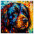 Colorful Newfoundland portrait in modern art style, perfect for home decor.