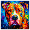 Colorful Pitbull portrait in modern art style, perfect for home decor.