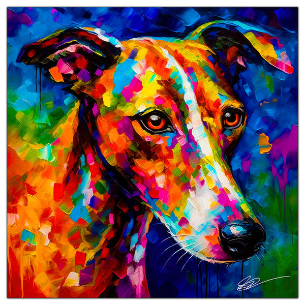 Whippet 02