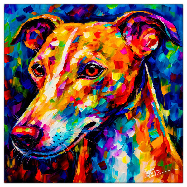 Whippet 04