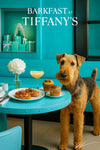 Airedale Terrier II standing by a turquoise table with pastries and a cocktail