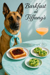 Belgian Malinois wearing a teal scarf at a Tiffany-blue table with jam-topped toast, spinach egg bites, and a peach cocktail in sunlight