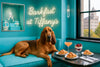Bloodhound reclining on a turquoise banquette next to plates of croissants, a berry parfait in a glass, and a peach cocktail under chandelier light