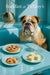 English Bulldog seated in a turquoise booth by a sunlit window with a table of tomato-quiche tart, cherry-topped puff, cucumber rounds and a peach-hued cocktail under “Barkfast at Tiffany’s” script