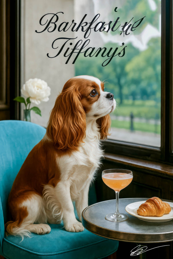 Cavalier King Charles Spaniel on a turquoise chair by a window with a croissant and peach cocktail on a metal table beneath Barkfast at Tiffany’s lettering