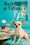 Chihuahua on turquoise cushion next to metal table with yogurt parfait, mini quiches and cocktail in front of teal niche with gift boxes and lights