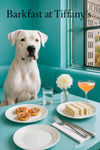 Dogo Argentino sitting at a turquoise café table with fig tarts crustless tea sandwiches an empty plate and silverware