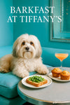 Fluffy Havanese dog on teal banquette next to arugula toast golden muffins and a pink cocktail