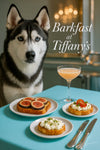 Black-and-white husky with blue eyes next to plates of fig toast cottage cheese toasts and a pink cocktail on a teal table