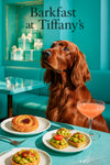 Auburn Irish Setter on teal banquette beside a strawberry swirl pastry guacamole toasts and pink cocktail