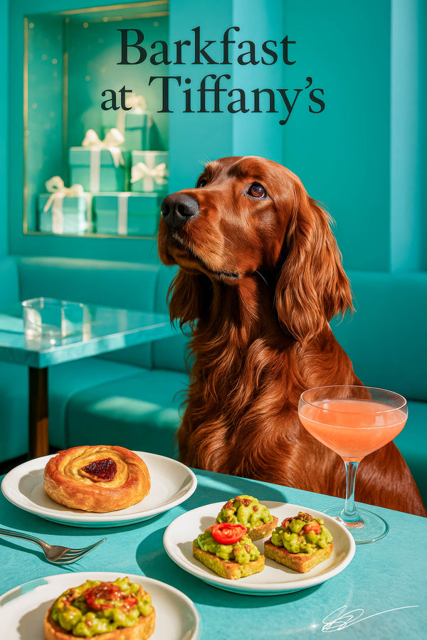 Auburn Irish Setter on teal banquette beside a strawberry swirl pastry guacamole toasts and pink cocktail