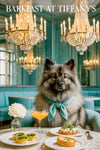 Fluffy Keeshond wearing a teal scarf seated at a marble table with mini spinach quiches cheese toast cottage cheese arugula toast a pink cocktail and a dahlia