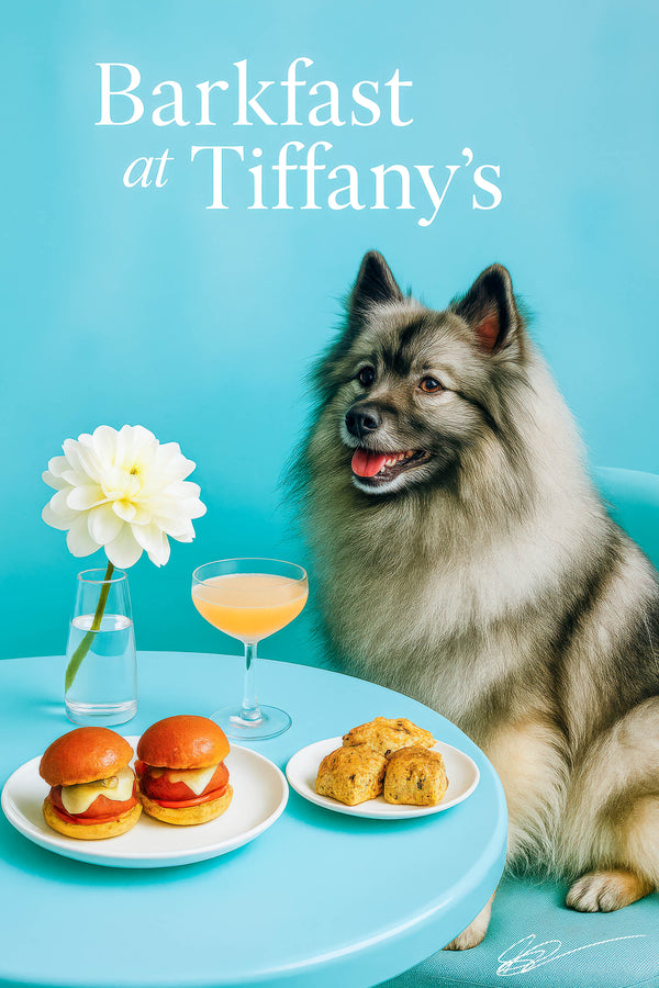 Fluffy Keeshond seated at a Tiffany-blue table with tomato cheese slider buns, herb scones, a pink cocktail, and a dahlia in a bud vase