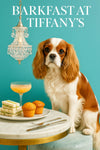 Ruby and white King Charles Cavalier seated on a teal ottoman beside cucumber tea sandwiches, golden muffins, and a peach cocktail under a crystal pendant