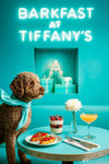 Curly brown Lagotto Romagnol wearing turquoise scarf beside a turquoise café table with tomato bruschetta berry parfait cocktail and white dahlia under Barkfast at Tiffanys sign