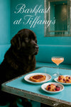 Majestic black Newfoundland sitting in a Tiffany-blue lounge, gazing thoughtfully