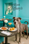 Pit Bull standing beside a teal banquette at a round riveted café table with two muffins tomato topped toasts a pink cocktail and a white flower