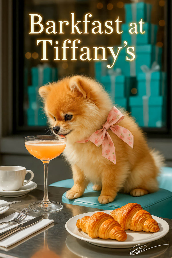 Fluffy Pomeranian perched on a teal stool sniffing a coupe of rosy spritz beside two golden croissants and a coffee cup against a backdrop of Tiffany blue gift boxes
