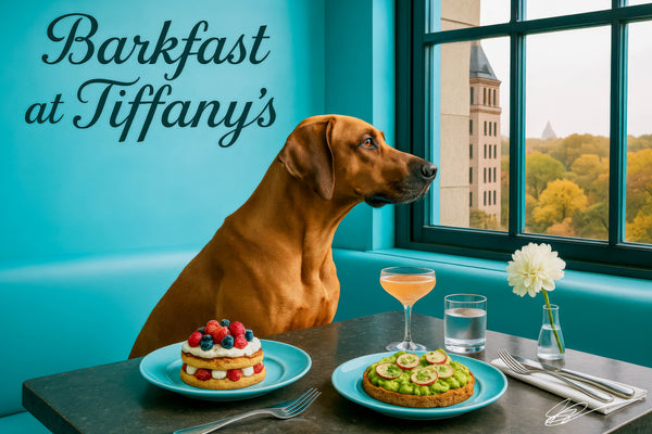 Rhodesian Ridgeback seated on a turquoise banquette beside a large window overlooking autumn foliage in a chic café setting