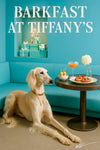 Slender Saluki lying on the floor in front of a turquoise banquette with a recessed display of Tiffany-blue gift boxes in a chic café interior