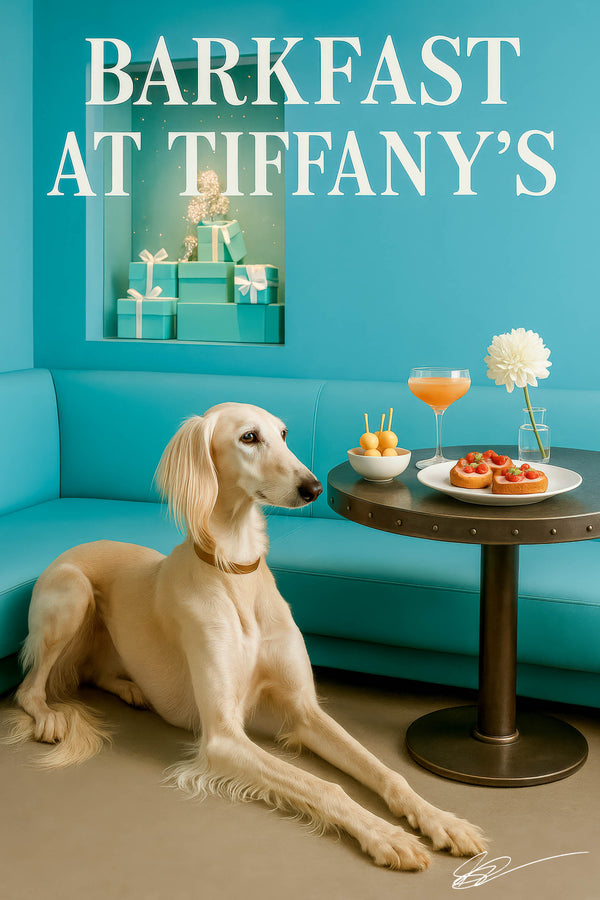 Slender Saluki lying on the floor in front of a turquoise banquette with a recessed display of Tiffany-blue gift boxes in a chic café interior