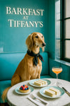 Slender Saluki wearing a black scarf seated on a turquoise banquette beside a large café window in a stylish urban interior