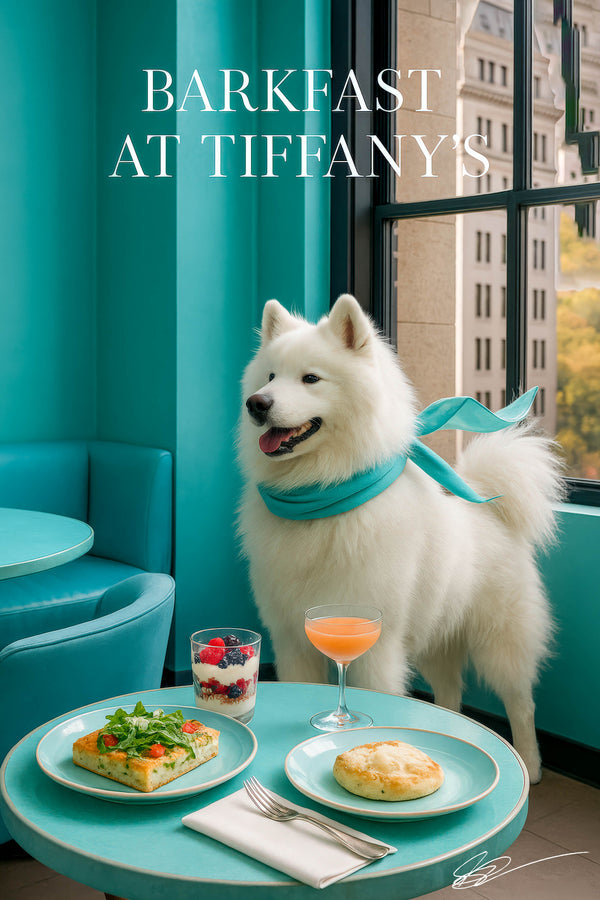 Fluffy Samoyed standing on a turquoise banquette beside a large window overlooking city buildings in a chic café interior
