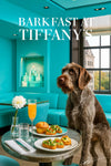 Wirehaired pointing griffon wearing a teal scarf seated at a round metal table with three muffins arugula toast and a peach cocktail against a teal banquette and city window
